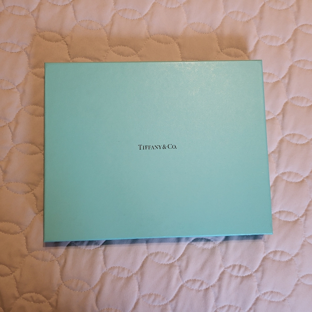 Authentic Tiffany scarf.